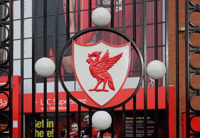 Liver Bird